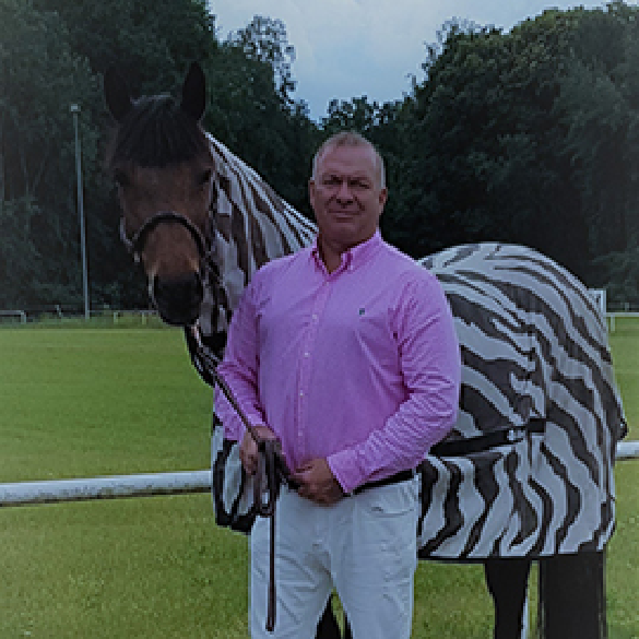 Pferd im Zebralook